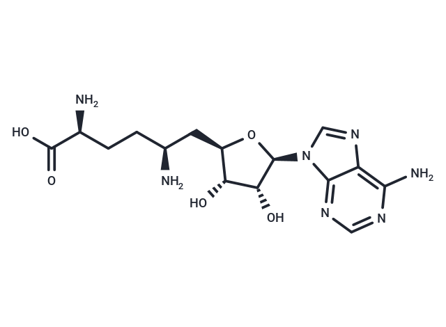 Sinefungin