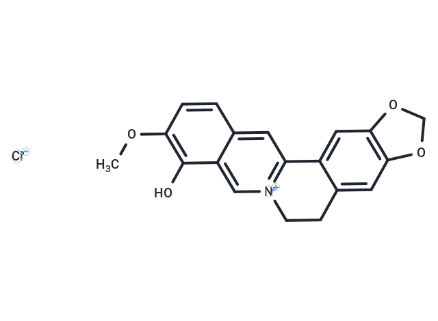 Berberrubine chloride