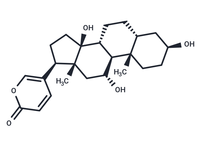 Gamabufotalin