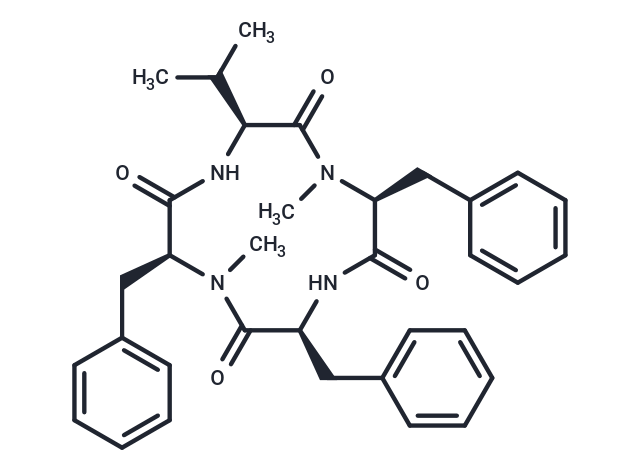 Hirsutide