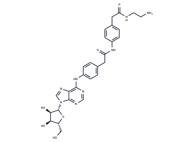 Adenosine amine congener