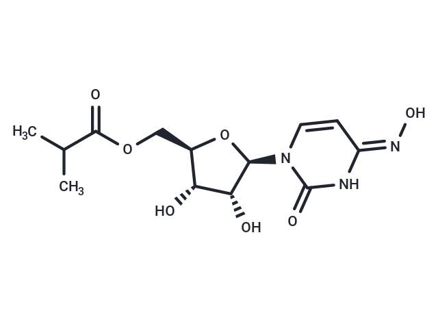 Molnupiravir