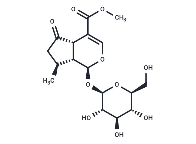 Verbenalin