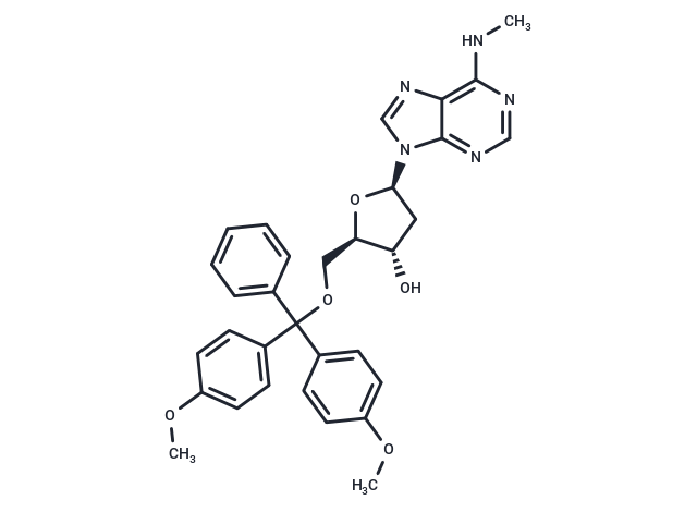 5'-O-DMT-N6-Me-2'-dA