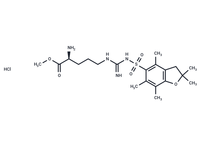 H-Arg(Pbf)-OMe hydrochloride