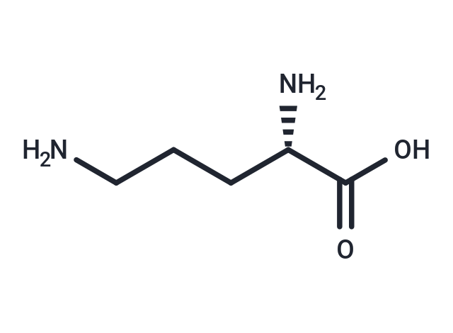 L-Ornithine