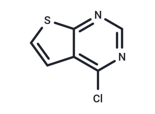 4-Chlorothieno[2,3-d]pyrimidine