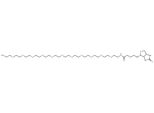 Biotin-PEG11-amine