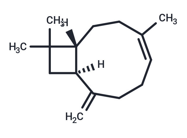 β-Caryophyllene