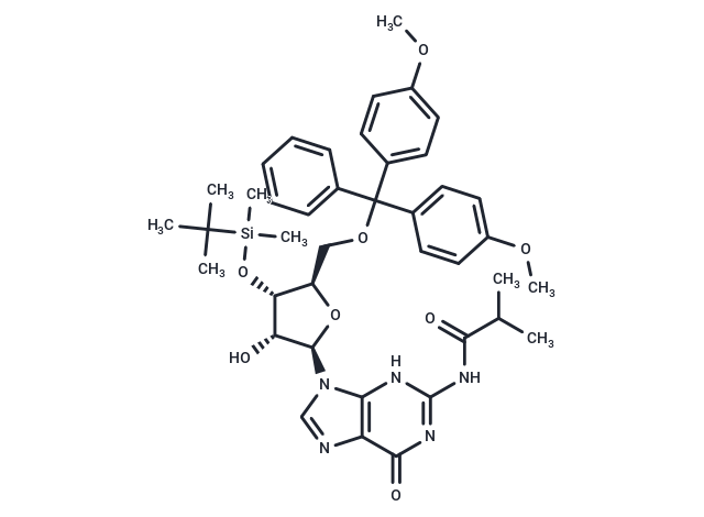 5'-DMT-3'-TBDMS-ibu-rG