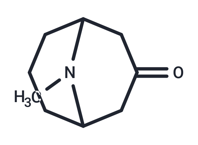 Pseudopelletierine free base