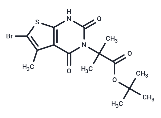 CS-B1628