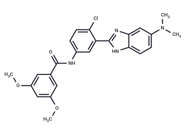 HhAntag