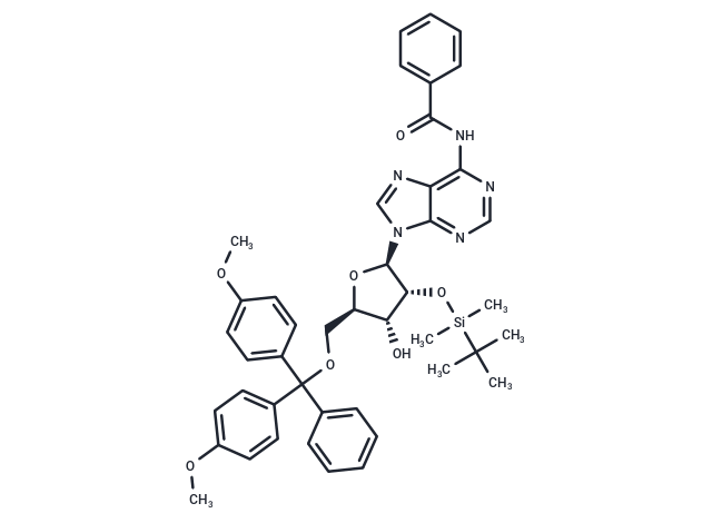 5'-O-DMT-2'-O-TBDMS-N-Bz-Adenosine