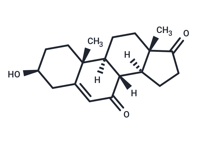 7-keto Dehydroepiandrosterone