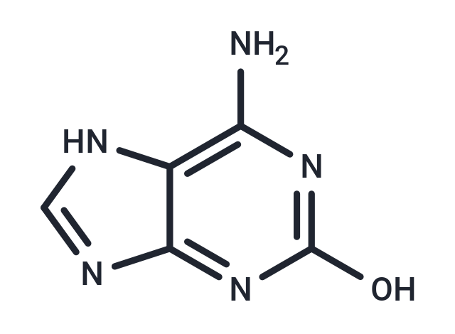 Isoguanine