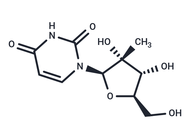 2’-C-Methyl uridine