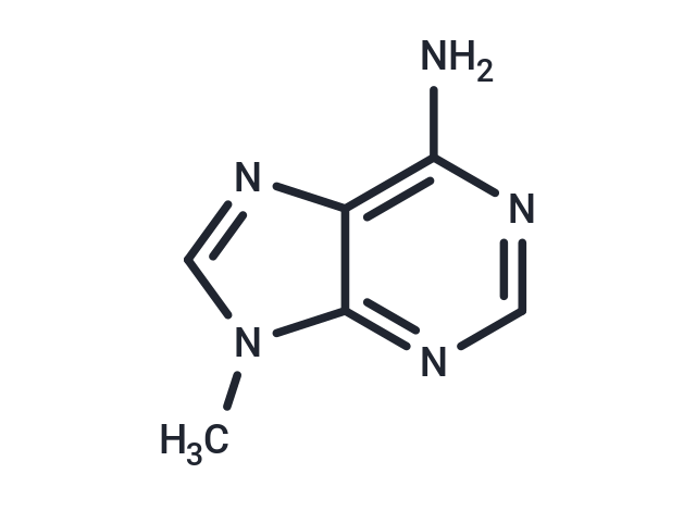 9-Methyladenine