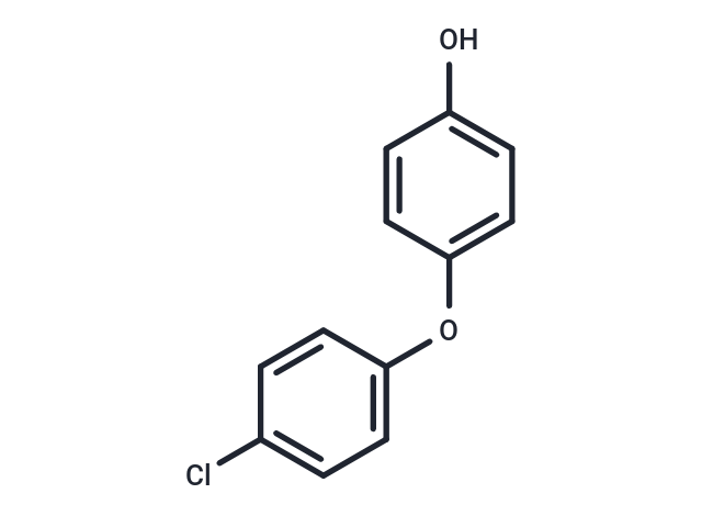 4-(4-Chlorophenoxy)phenol