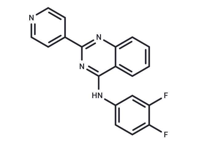 ML367