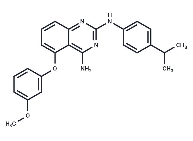 Yhhu-3792