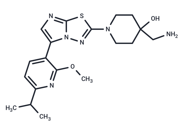 INE963