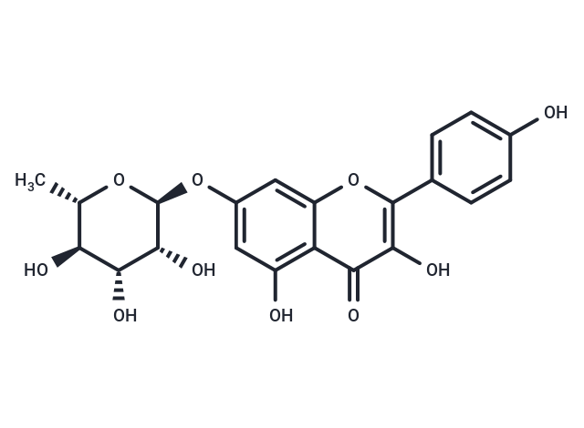 Kaempferol-7-O-rhamnoside