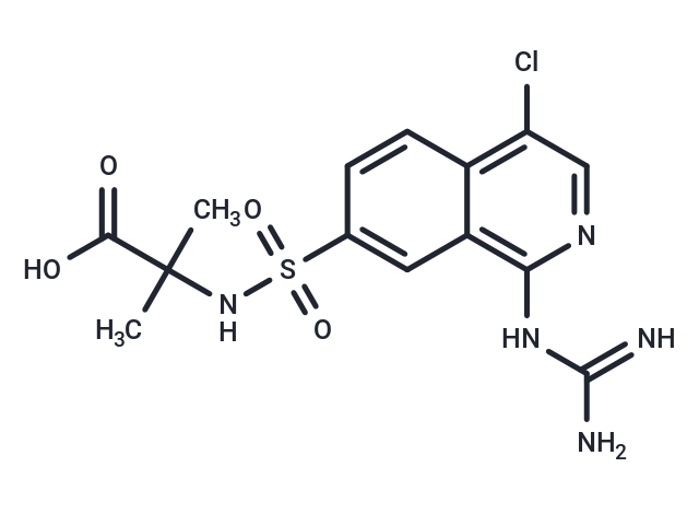 UK-371804