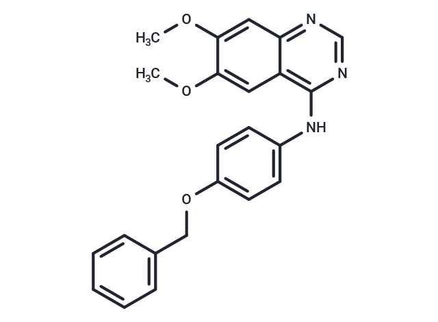 EGFR/ErbB-2/ErbB-4 inhibitor-2