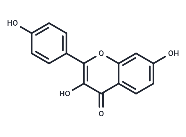 3,7,4'-Trihydroxyflavone