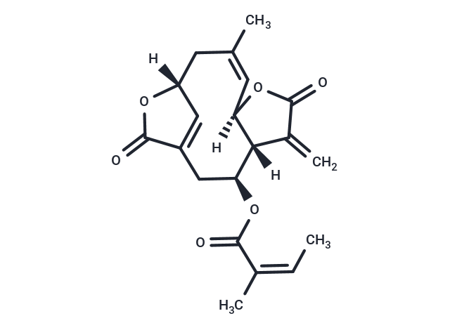 Isoscabertopin