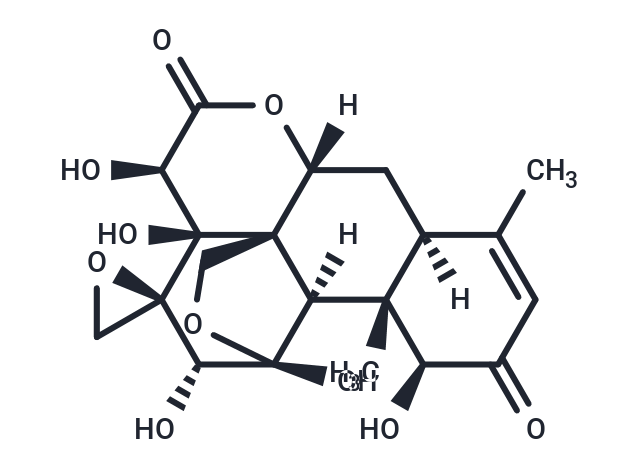 Pasakbumin B