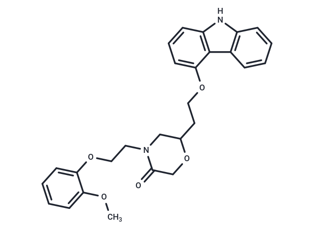 Homo-VK-II-36