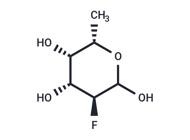 SGN-2FF