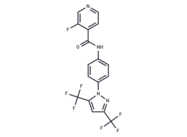 Pyr6