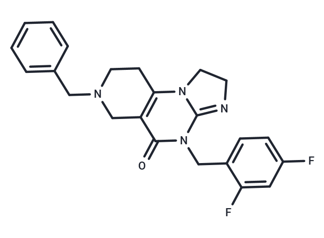 ONC206