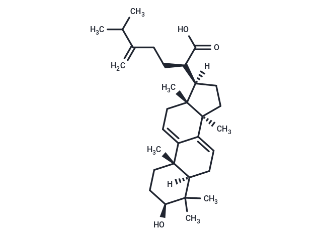 Dehydrotrametenolic acid