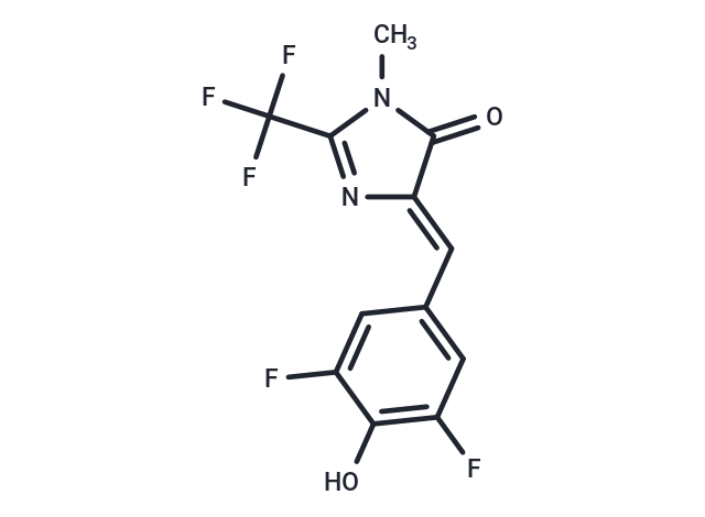 DFHBI-2T