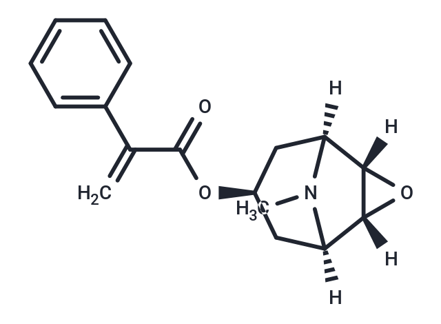 Apohyoscine