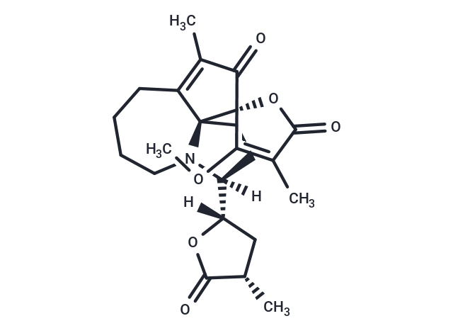 Protostemotinine