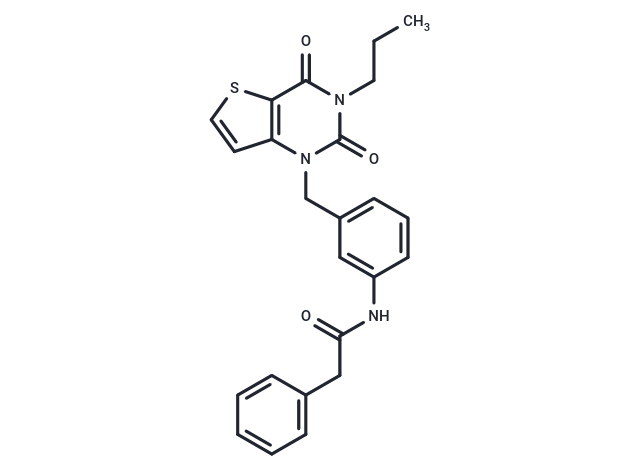 FEN1-IN-SC13