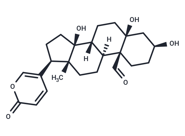 Hellebrigenin