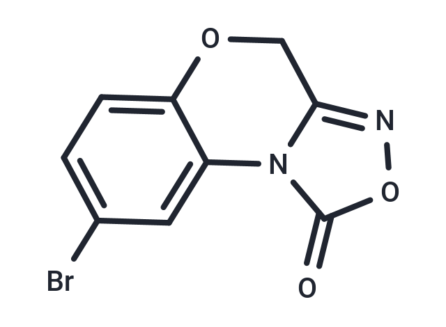 NS-2028