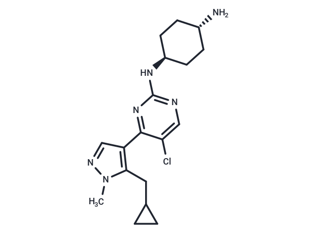 Casein Kinase inhibitor A51