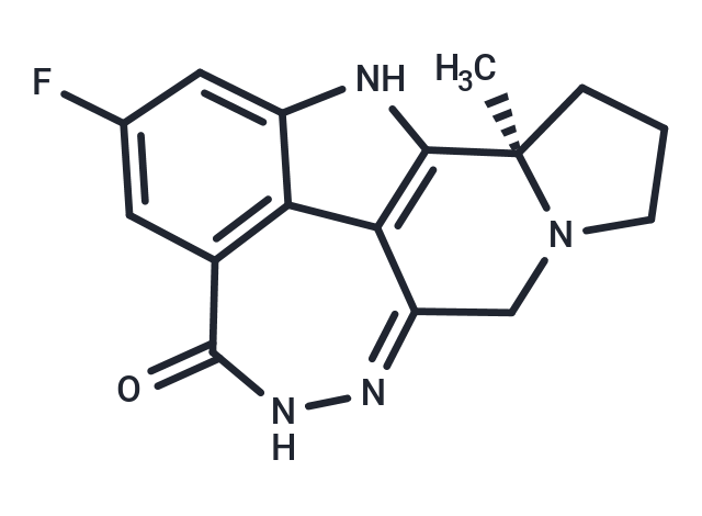 Pamiparib