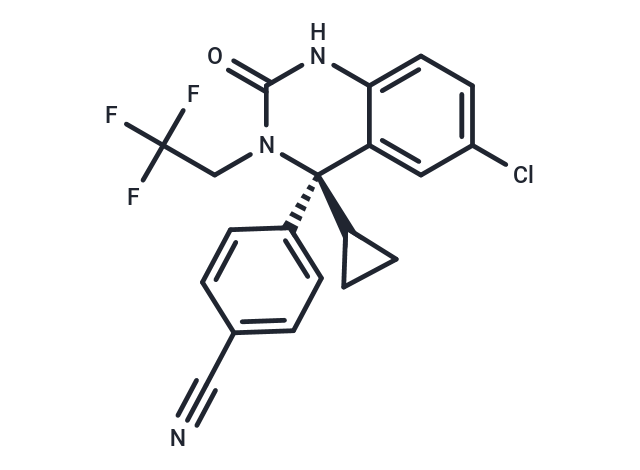 TTA-Q6