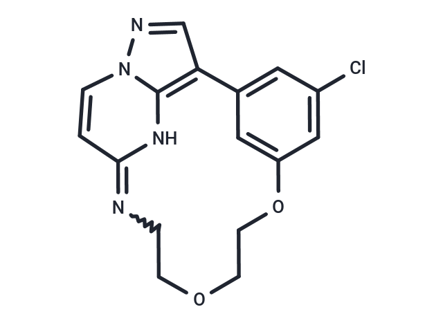 OD36