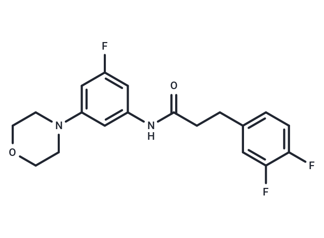 SAE-14