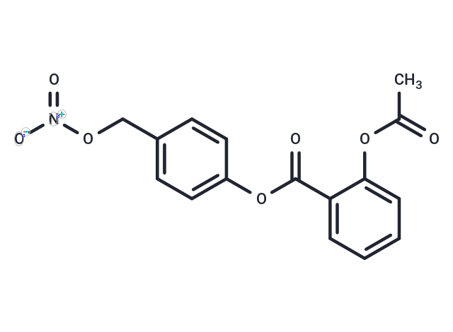 NCX 4040