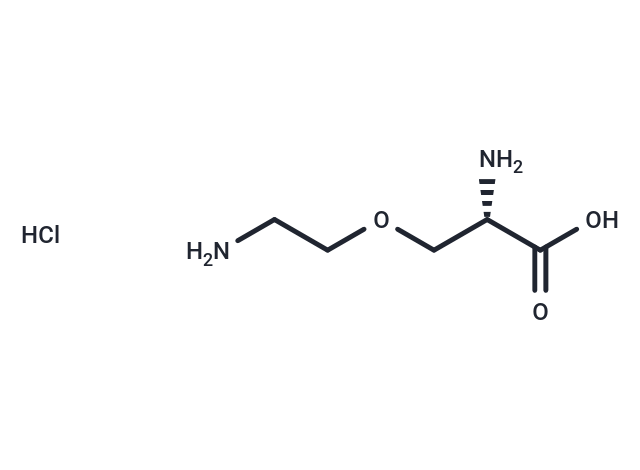 L-4-Oxalysine hydrochloride